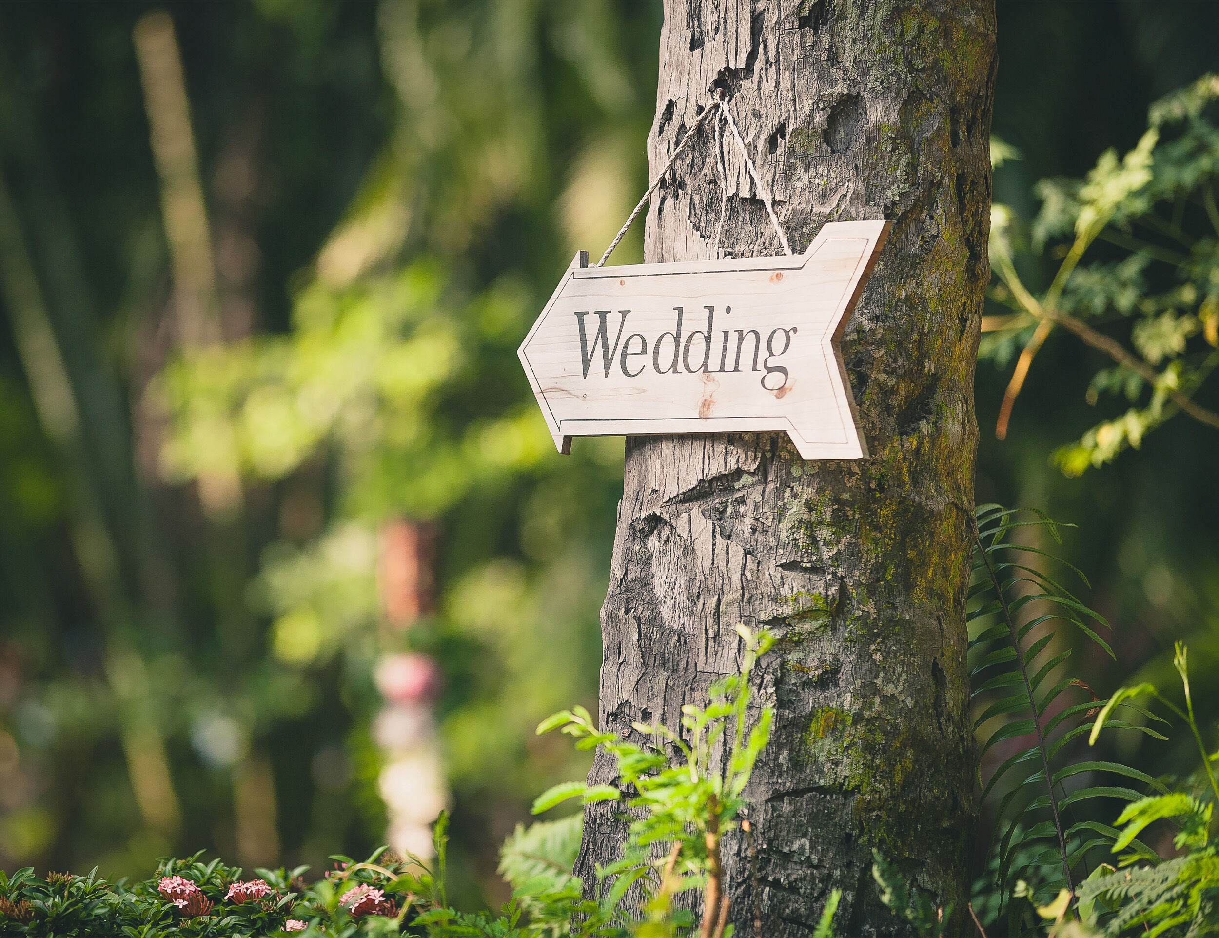 A wedding sign with eco freindly style  in nature 